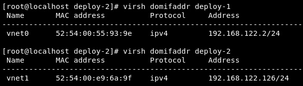 Figure 9.18 – Check the virtual machine IP addresses