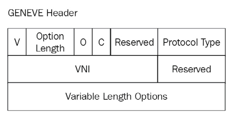 Figure 12.4 – GENEVE cloud overlay network header