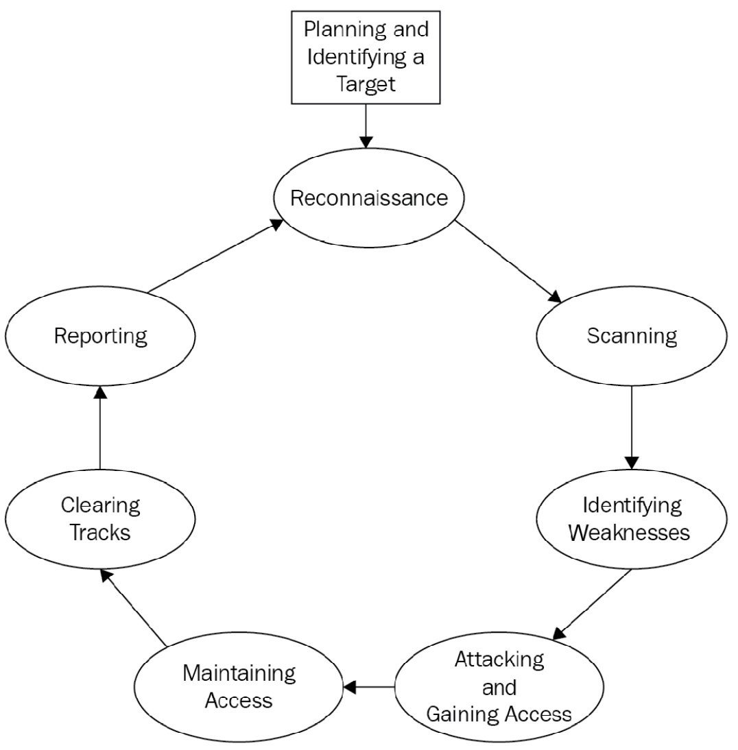 Phases of Ethical Hacking - InfosecTrain