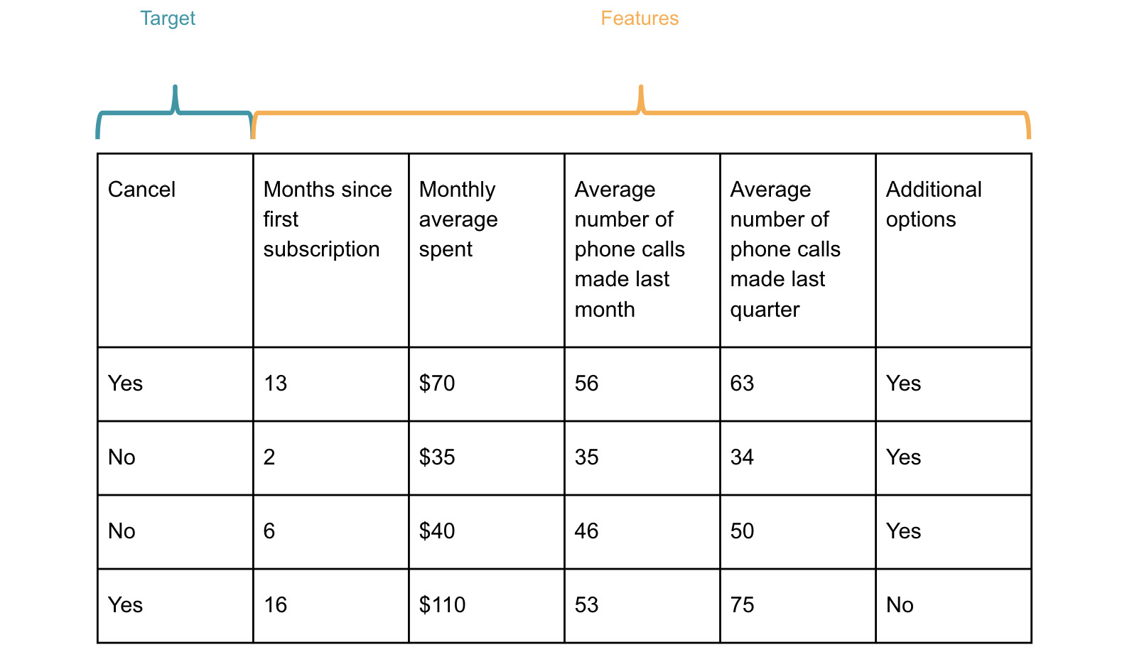 Figure 1.1: Example of customer churn dataset