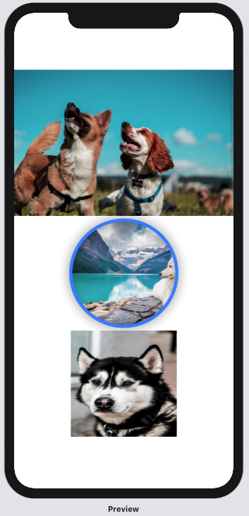 Figure 1.7 – ImageApp preview