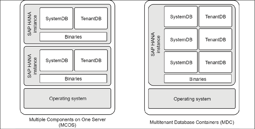 Left: Virtual machine shared for two database instances with separate tenants and binaries.
Right: virtual machine shared for single database with multiple tenants and binaries.
