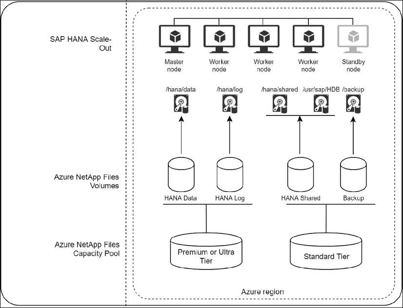 Two NetApp capacity pools expose four mount volumes for virtual machine.