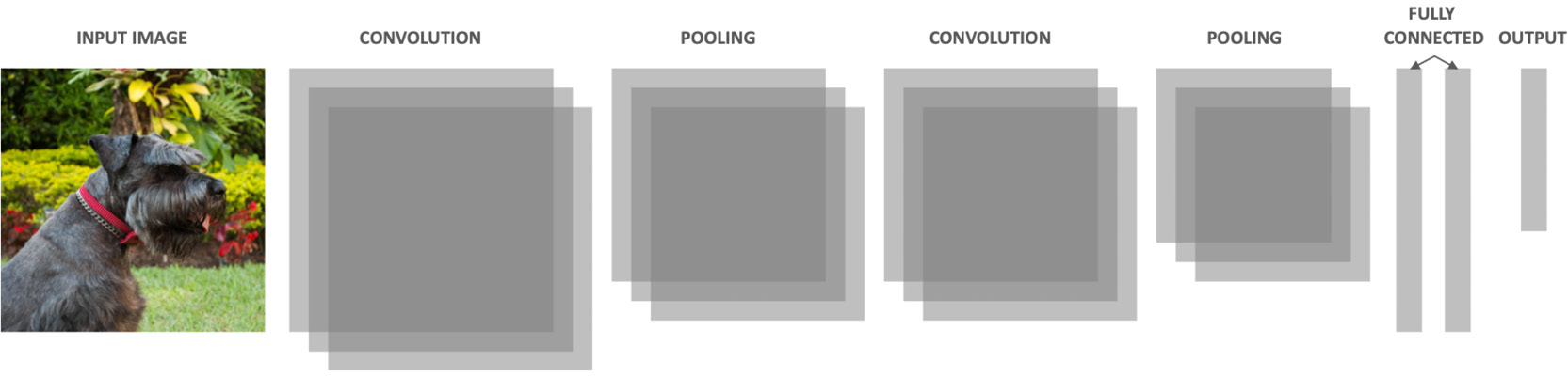 Figure 2.24: Diagram of the CNN architecture
