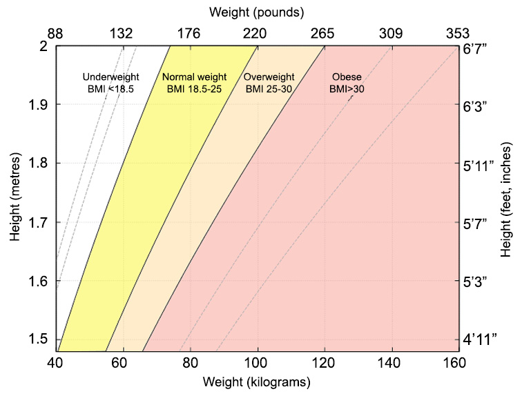 Figure 2.29: Body Mass Index categories 
(source: https://en.wikipedia.org/wiki/Body_mass_index)

