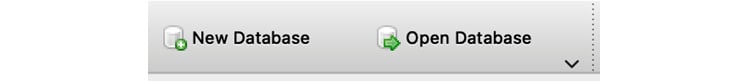 Figure 2.17: Click the Open Database button