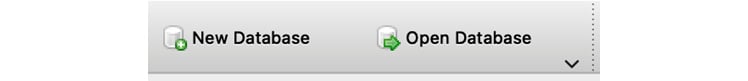 Figure 2.17: Click the Open Database button
