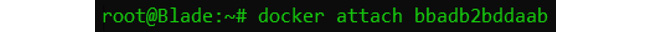 Figure 1.10 – docker attach output
