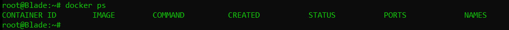 Figure 1.12 – docker ps output
