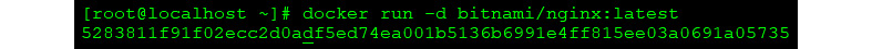 Figure 1.5 – Docker run output
