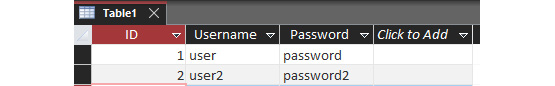 Figure 1.3 – MS Access file
