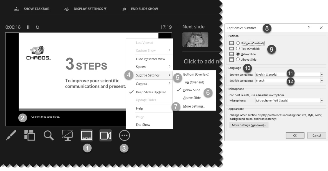 Figure 12.12 – Using subtitles during your presentation