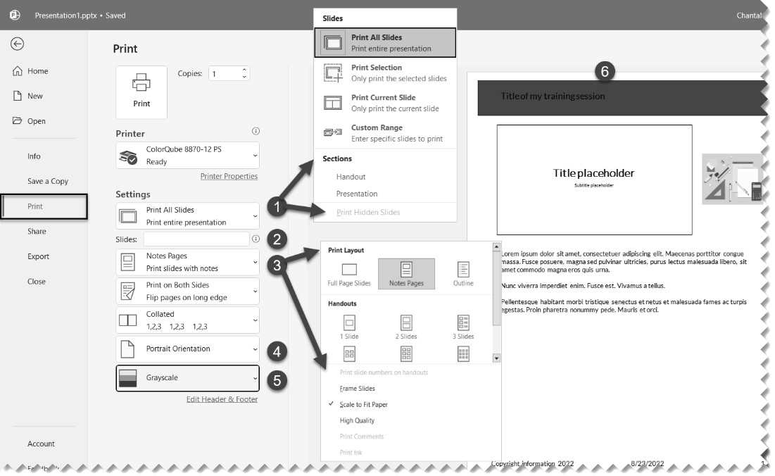 Figure 4.15 – PowerPoint’s Print options view