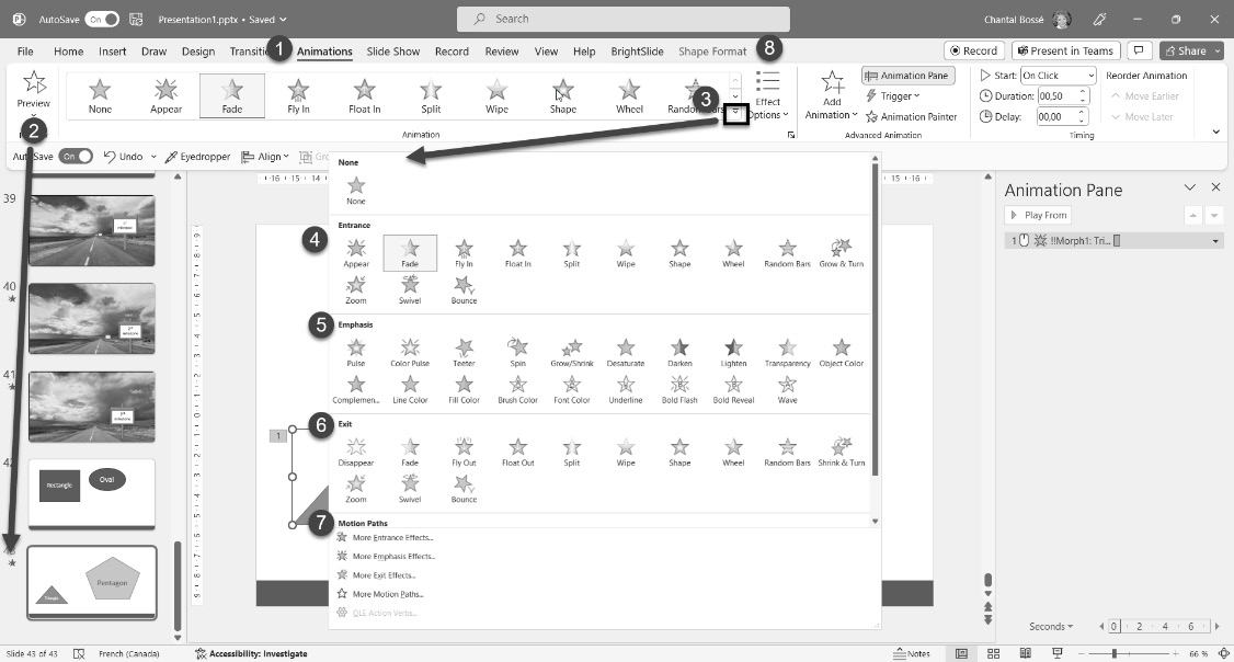 Figure 8.11 – Review of the Animations tab