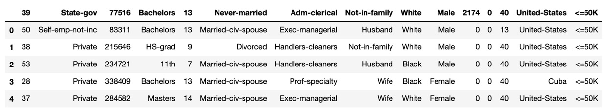 Figure 1.12 – The Census Income DataFrame