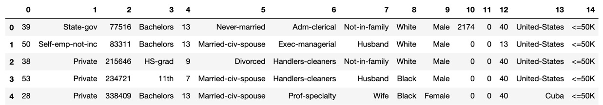 Figure 1.13 – The header=None parameter output