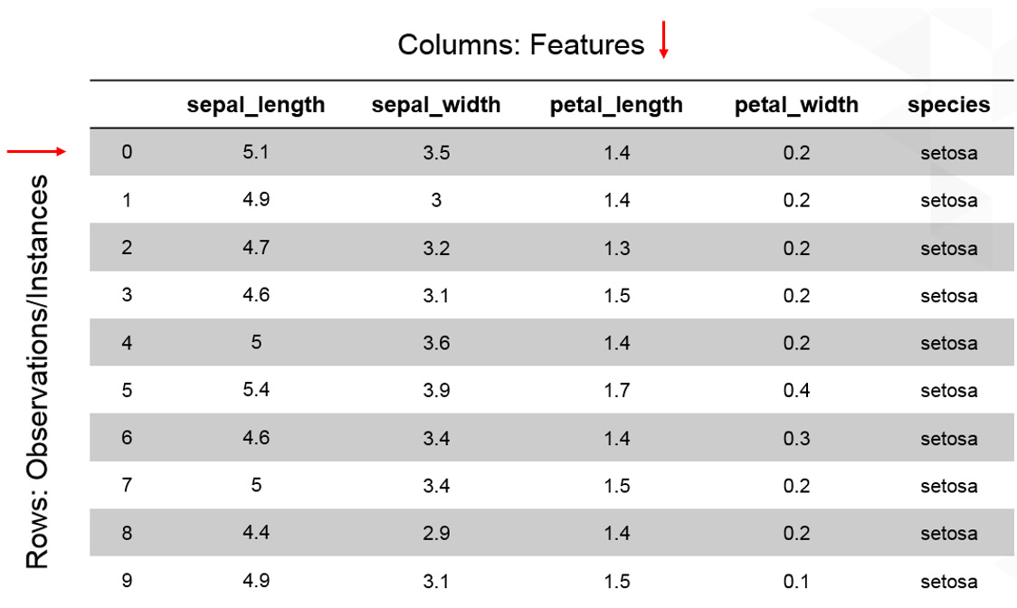 Figure 1.2: A table showing the first 10 instances of the iris dataset