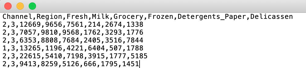 Figure 2.2: A screenshot of a CSV file
