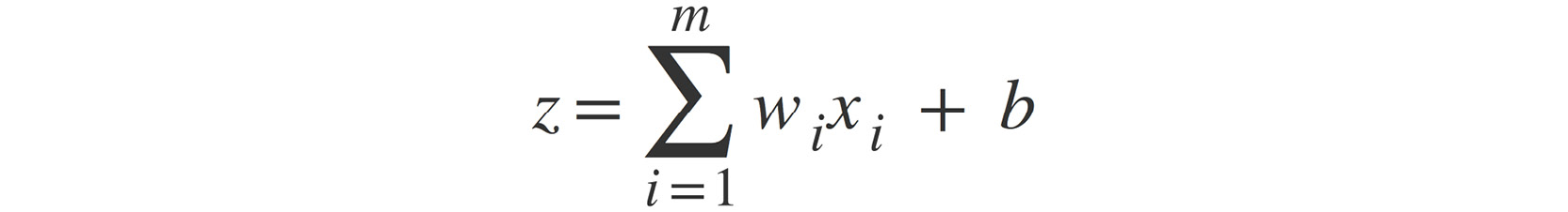 Figure 2.5: Net input function in mathematical form
