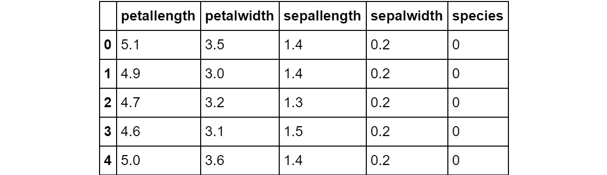 Figure 2.17: Contents of the DataFrame
