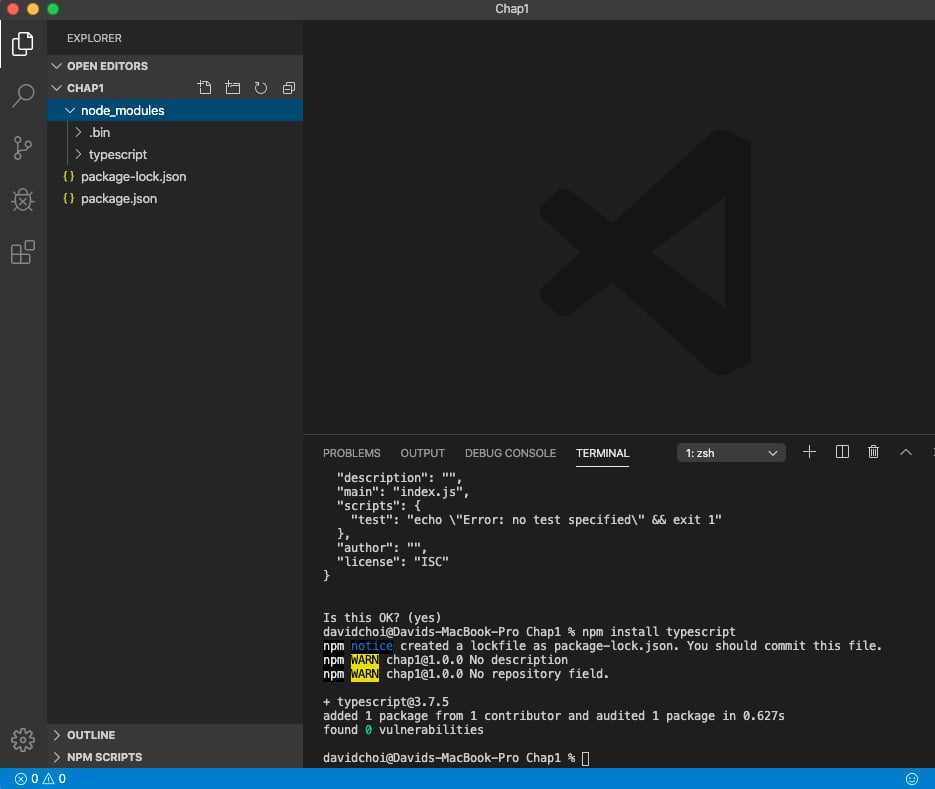 Figure 1.2 – VSCode after setup is complete
