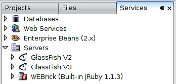 Integrating NetBeans with a Third Party Application Server