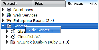 Integrating NetBeans with a Third Party Application Server