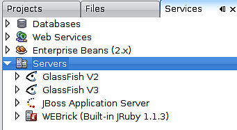 Integrating NetBeans with a Third Party Application Server
