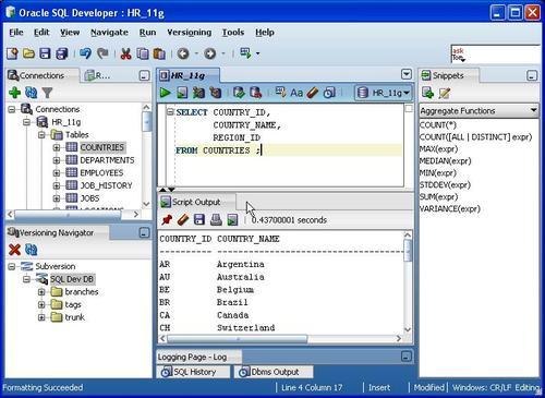 Oracle SQL Developer 2.1