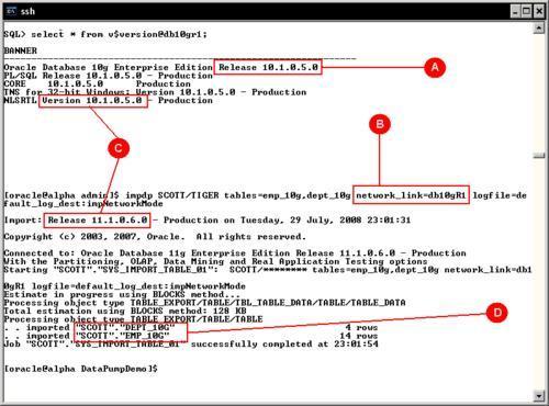 Data Pump import network mode