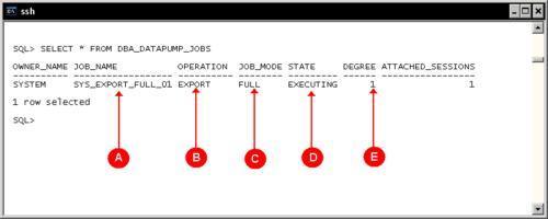 Getting information about the export job