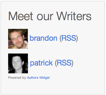 Authors Widget