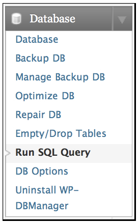 WP-DBManager