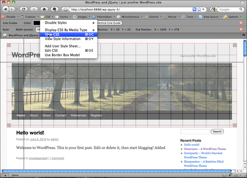 Web Developer toolbar