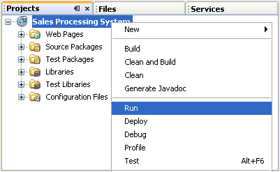 Running the project