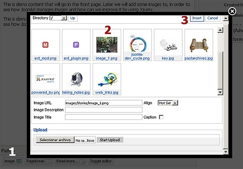 Inserting images into articles