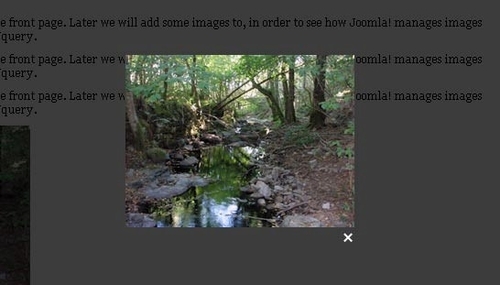 Image pop ups
