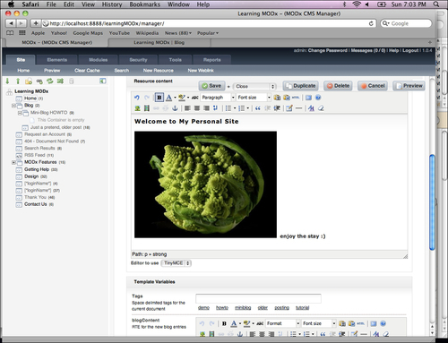 Using the HTML editor