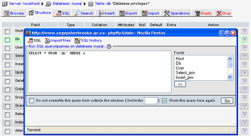 Query window