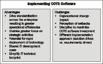 Maximize your investment : 10 key strategies for effective packaged software implementations