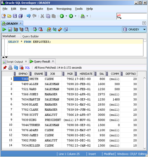 Executing a SQL statement