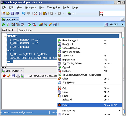 Debugging the PL/SQL code