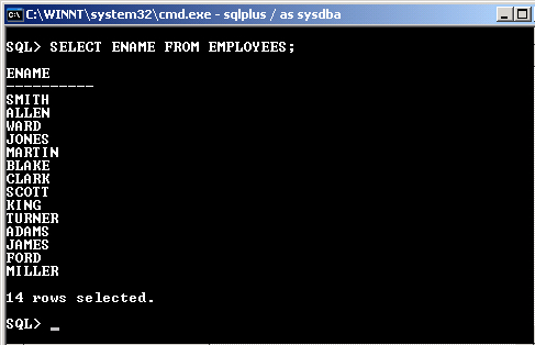 Executing a SQL statement in SQL*Plus