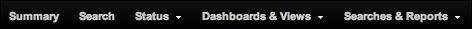 The Summary view