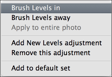 Adding brushes to an adjustment
