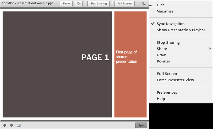 Presentation toolbar options