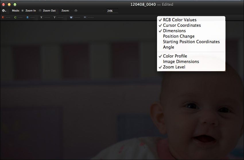 Tool options and info bar